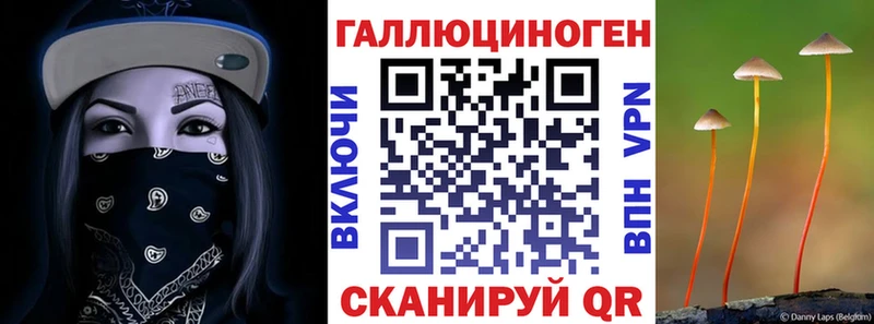 Псилоцибиновые грибы MAGIC MUSHROOMS  сайты даркнета официальный сайт  Дыгулыбгей 